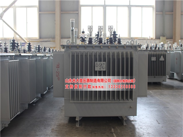 林芝S22-4000KVA油浸式变压器
