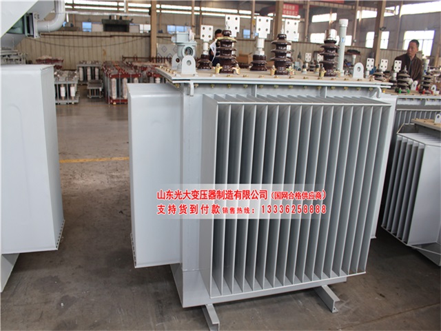 林芝S20-5000KVA油浸式电力变压器