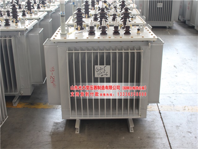 林芝S11-6300KVA油浸式变压器